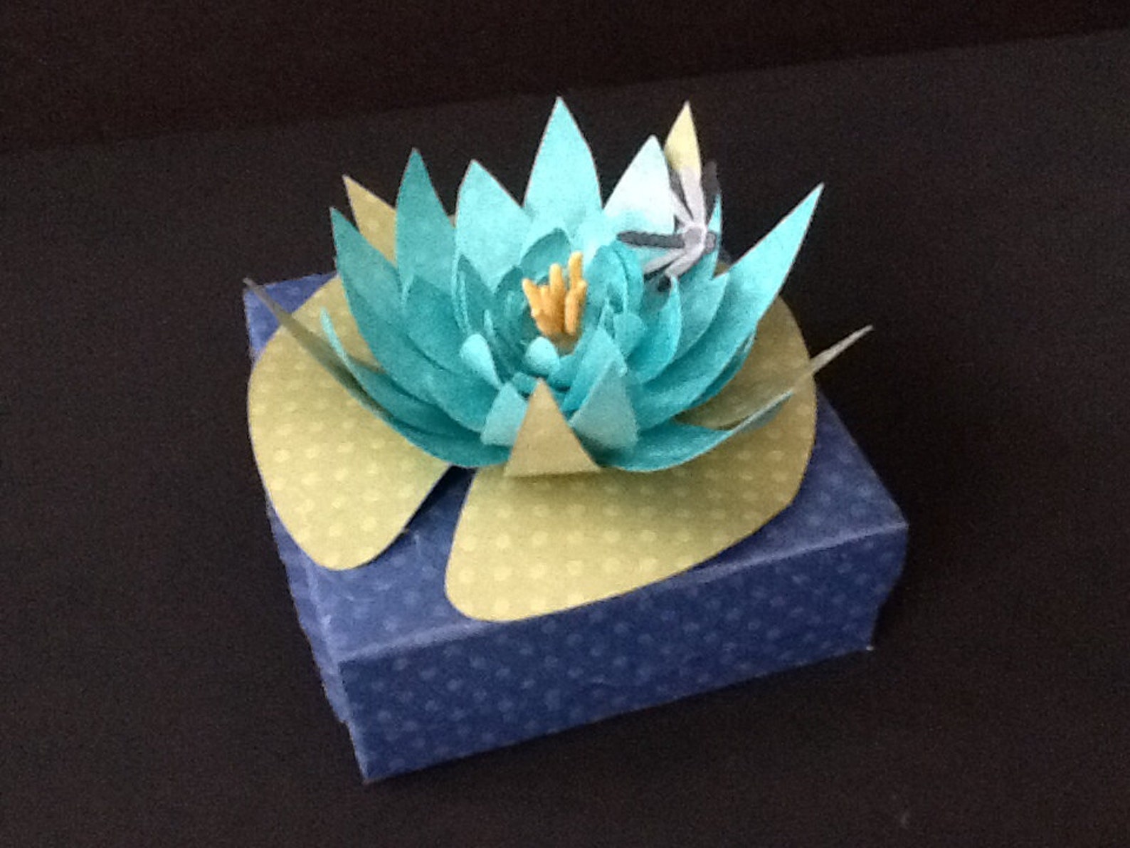 Lily Pad Favor Box Etsy