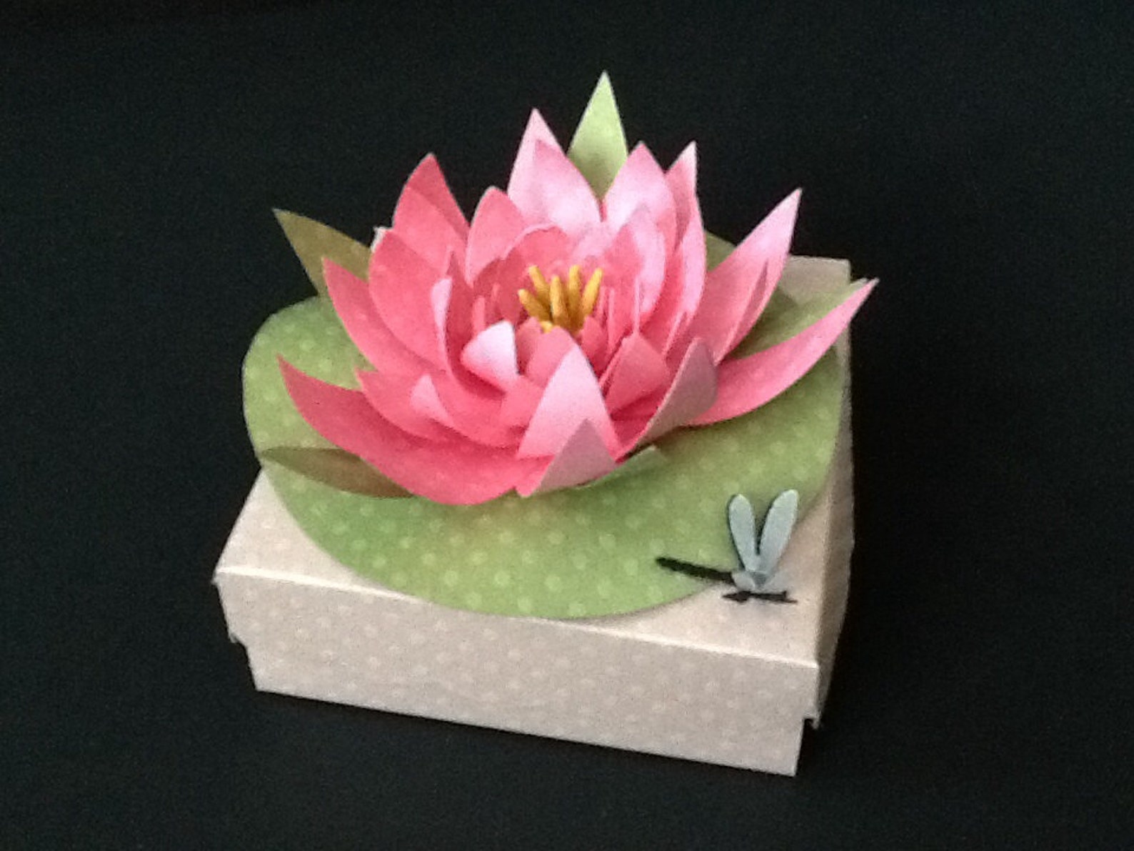 Lily Pad Favor Box Etsy