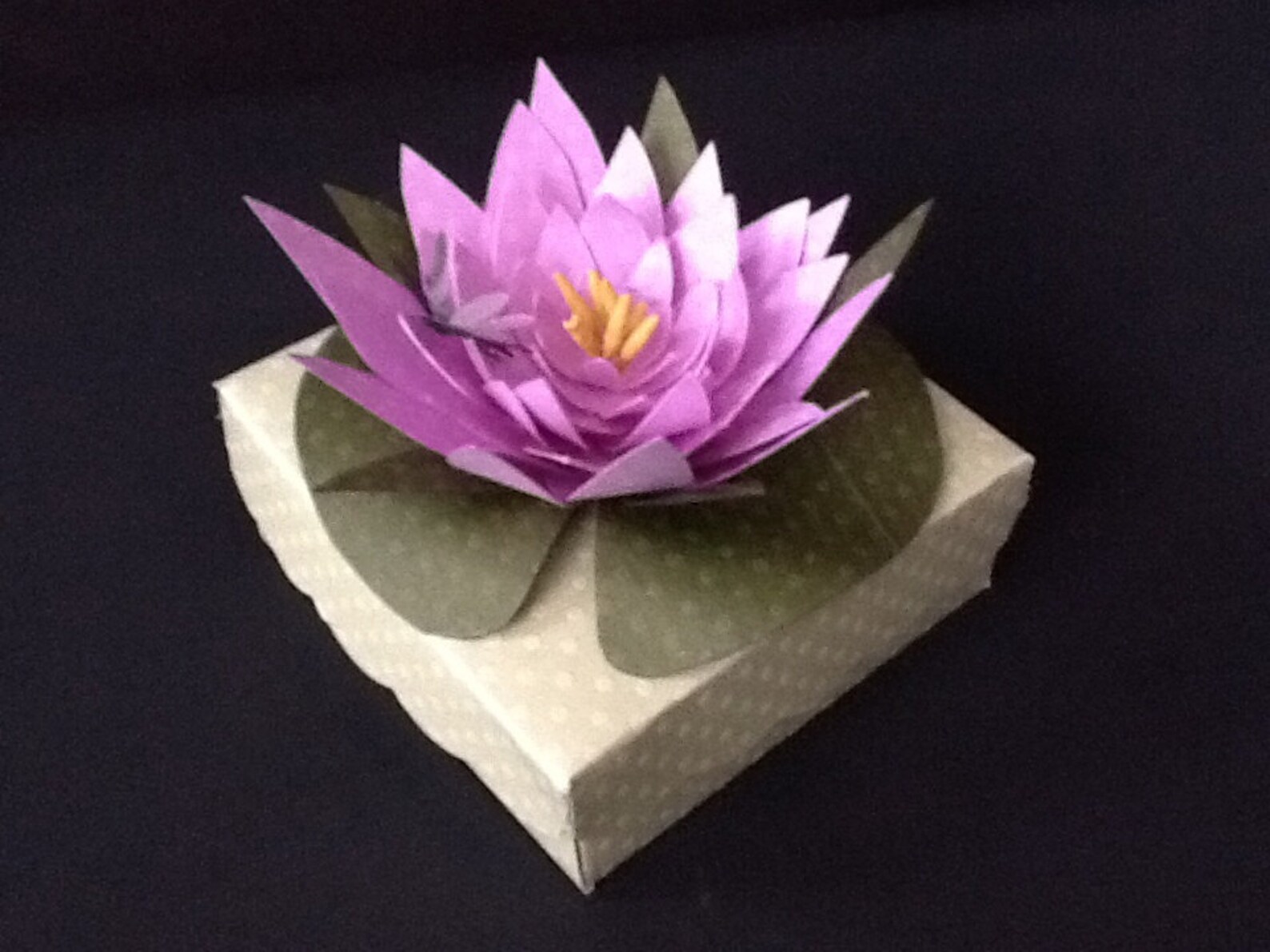 Lily Pad Favor Box Etsy