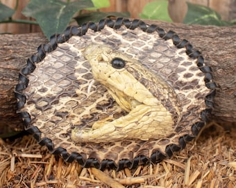 Peut inclure: Une boucle de ceinture ovale présentant une tête de serpent préservée montée sur un fond en peau de serpent texturé. Le pourtour est fini avec un bord tressé en cuir noir, créant un contraste marqué avec les écailles beiges et brunes.
