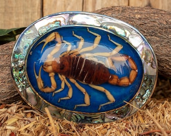 Real SCORPION ALACRAN EPOXY Abalone Handmade oval western belt buckle evilla