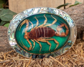 Véritable SCORPION ALACRAN EPOXY Boucle de ceinture ovale faite main en abalone de l'ouest