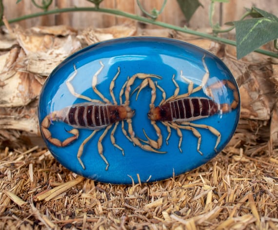 A detailed look into my hand-painted Alacranes (Scorpions) on The