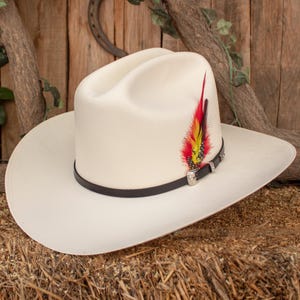 Peut inclure: Un chapeau de cowboy blanc avec un bandeau noir et une plume rouge, jaune et noire. Le chapeau est posé sur un lit de foin.