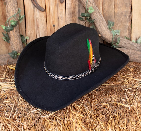 Black 100X Western COWBOY TEXANA HAT Tejana With Feather - Etsy display picture 3