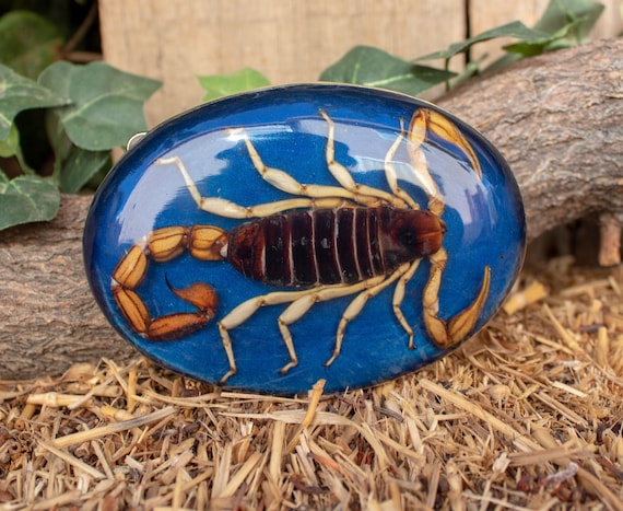 Real SCORPION ALACRAN EPOXY Handmade Oval Western Belt Buckle
