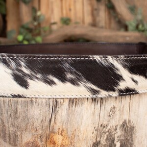 May include: A cowhide belt with a black and white spotted pattern. The belt has a dark brown interior and a silver-colored buckle. The belt is displayed on a wooden surface.