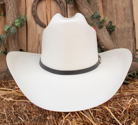 Chapeau Western Paille Cowboy Avec Bandeau Plumes Irisé – Taille 58 Cm – Fait Aux USA