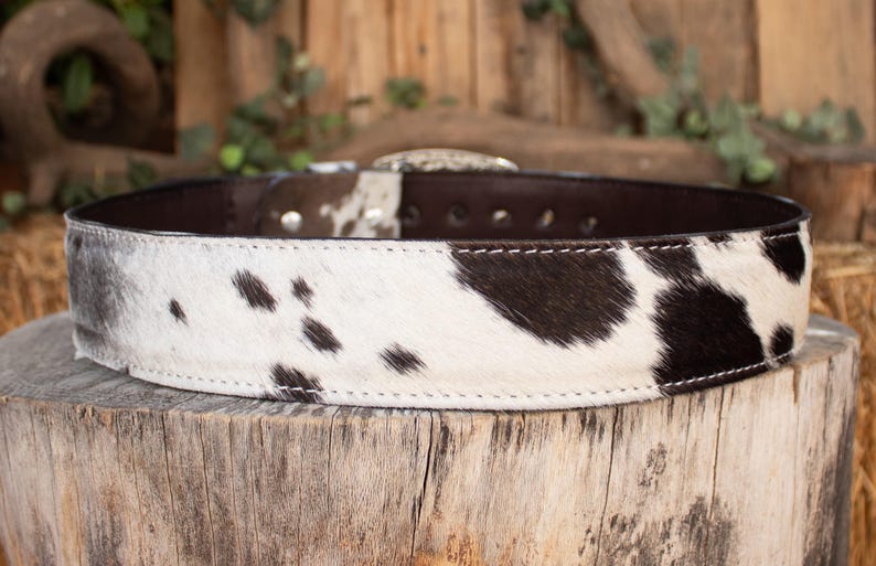 May include: A cowhide belt with a brown leather backing and a silver buckle. The belt features a white and black spotted pattern. The belt is displayed on a wooden surface.