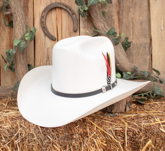 Chapeau Western Paille Cowboy Avec Bandeau Plumes Irisé – Taille 58 Cm – Fait Aux USA