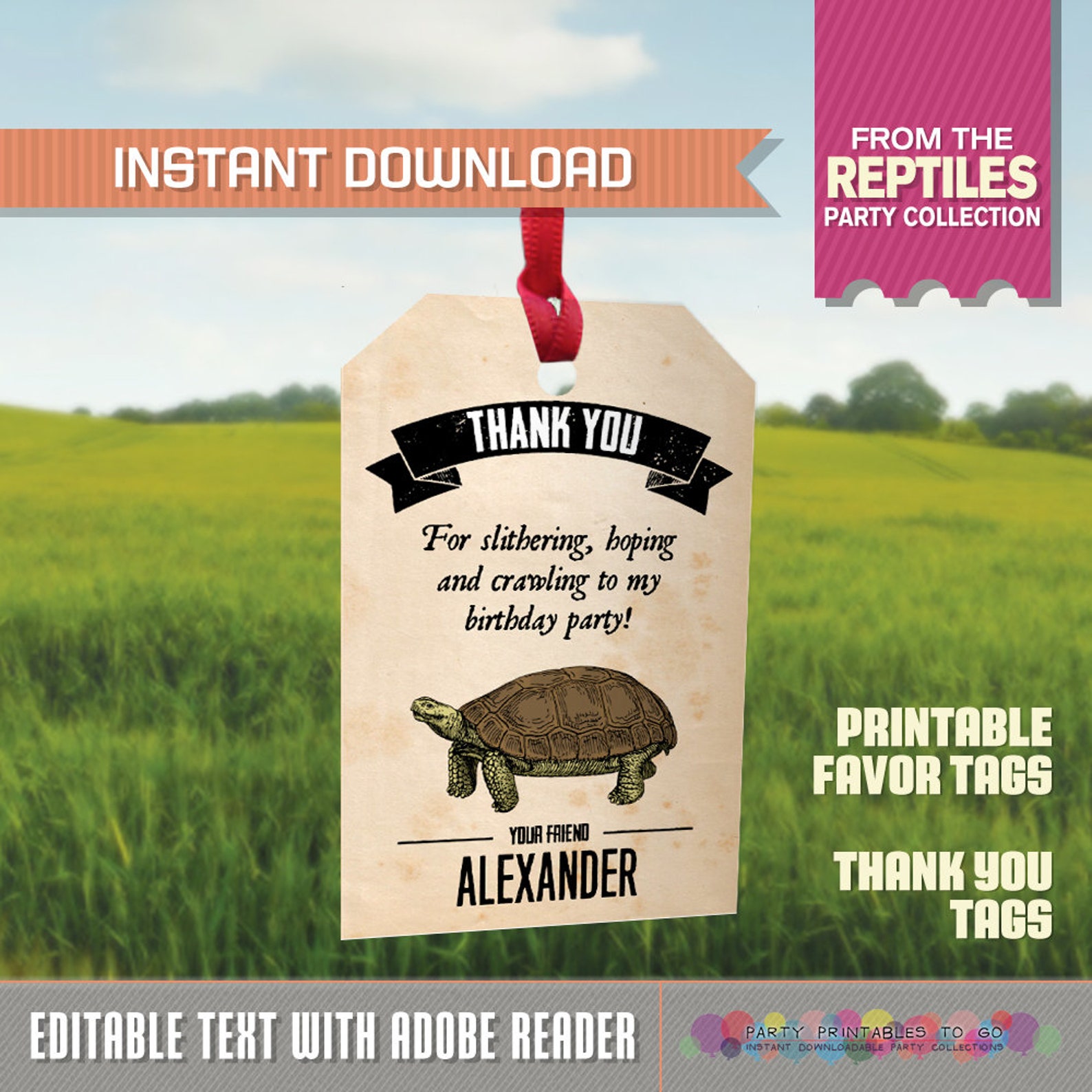 Reptile Party Favor Tags / Reptile Party Thank You Tags Etsy