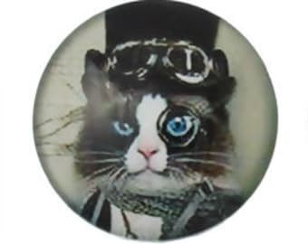 Resin Embellishments Findings Round Steampunk Black Cat Pattern Cabochon - Pack of 10