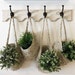 see more listings in the Hanging baskets  section