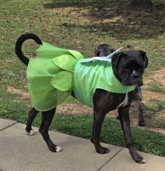 sequin dog dress Sparkly Fancy Dog Dress Custom Size, Gold Flower Sequin Black Tulle Dress  for Large Dogs and Cats, Birthday Princess Costume Pets Clothes