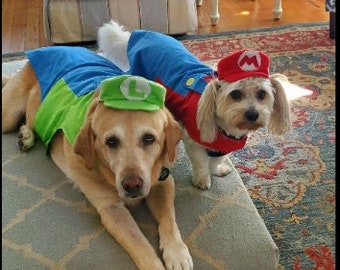 May include: Two dogs dressed up in Mario and Luigi costumes. The dog on the left is wearing a green hat and a blue jumpsuit. The dog on the right is wearing a red hat and a red jumpsuit.