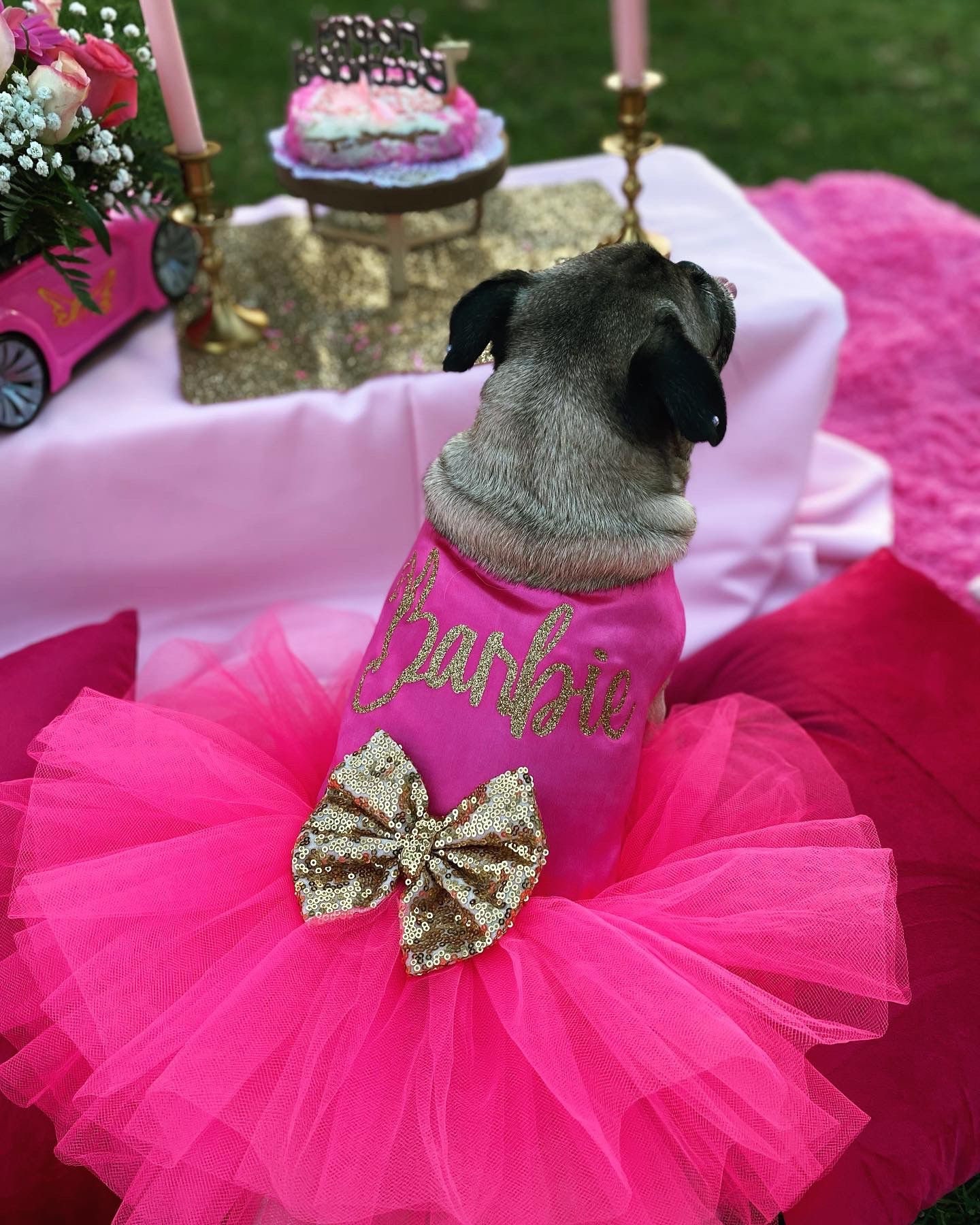 Hot Pink Dog Dress - Etsy