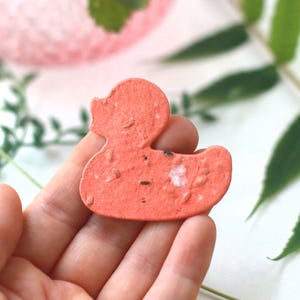 Canards en papier avec graines et pétales - 10 graines de canard en papier - Cadeaux découpés - Laissez l'amour grandir - Confettis de mariage à planter