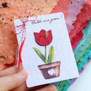 Tulipe en papier à planter avec graines et pétales - 25 cadeaux en fleurs - Cadeaux en papier pour graines de mariage