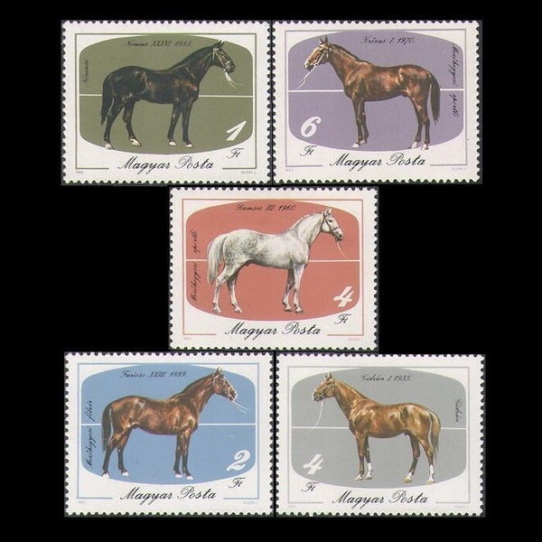 Beautiful Horse Postage Stamps / 1985 Hungary, Set of 5 / Equestrian Artist Trading Cards, Farm Collage, Horse Racing Altered Book, Pony ATC