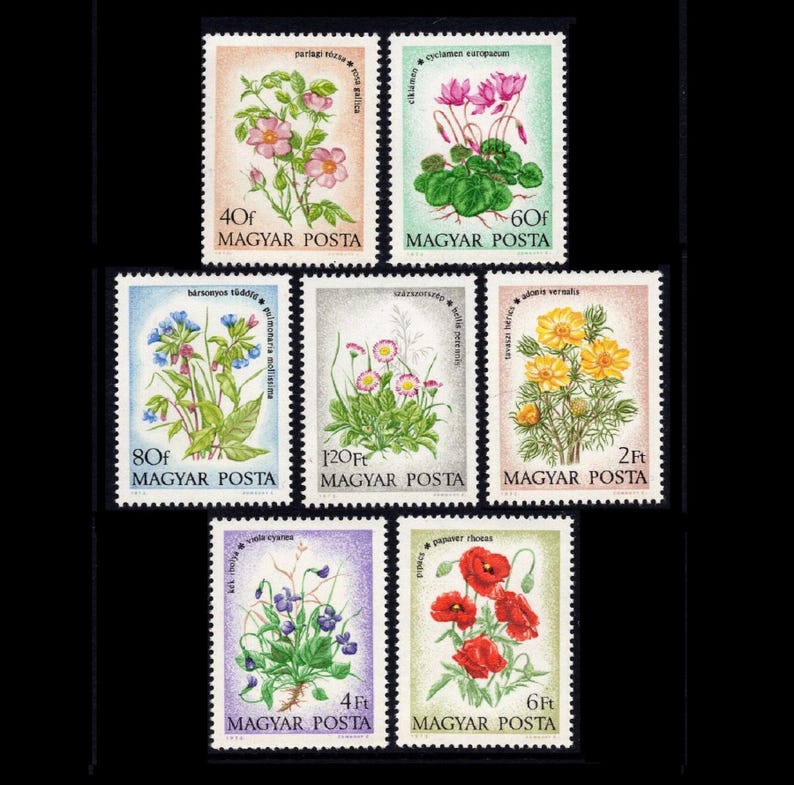 May include: A collection of vintage Hungarian postage stamps featuring colorful botanical illustrations. The stamps showcase various flowers, including roses, cyclamen, and poppies, with text in Hungarian. The stamps are rectangular with a serrated edge.
