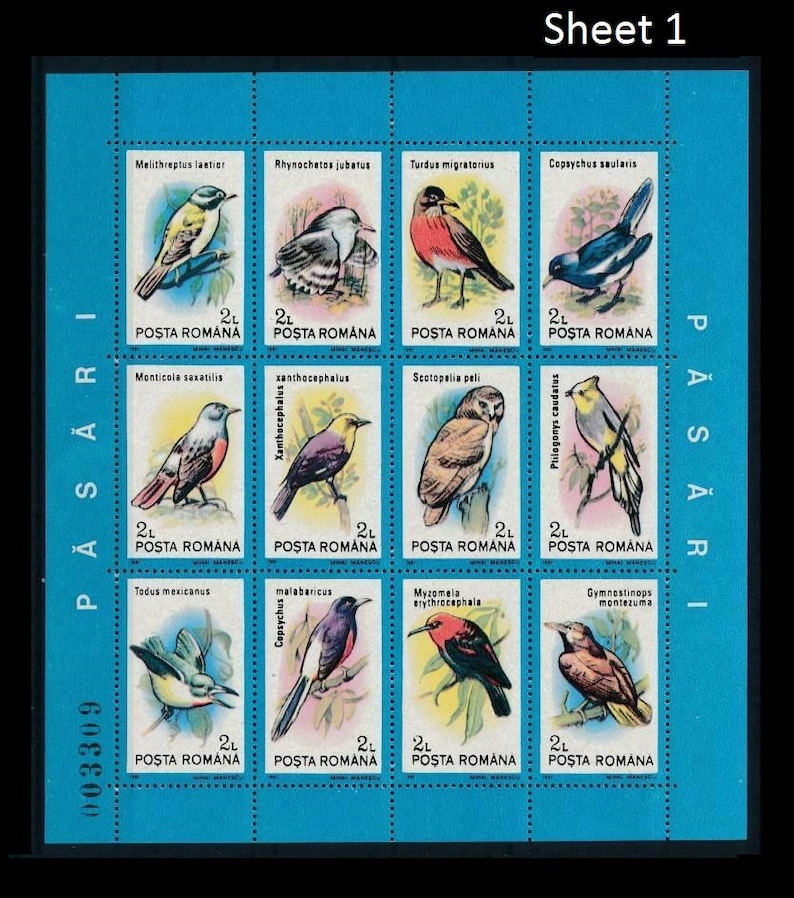 1991 Birds of the World Postage Stamp Sheets Woodpecker Robin Thrush Passerine Owl Magpie Flycatcher Blackbird Meadowlark Hoopoe