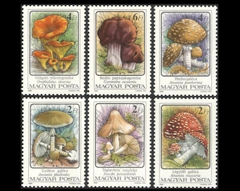 1986 Mushroom Postage Stamps / Toxic Fungi Set, Hungary / Crafts, Scrapbooking, Decoupage, Junk Journal, Glue Book, Framing, Collage, ATC