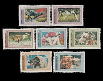 Seven Vintage Dog Postage Stamps 1972 / Afghan, Greyhound, Whippet, Irish Wolfhound / Altered Books, Artist Trading Cards, Mixed Media, MNH