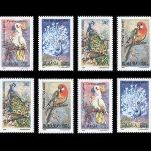 Puede incluir: Un conjunto de ocho sellos postales rumanos vintage con ilustraciones coloridas de varias aves, incluyendo pavos reales, cacatúas y loros. Los sellos son de 1998 y presentan el texto "ROMANIA" y la denominación en Lei.