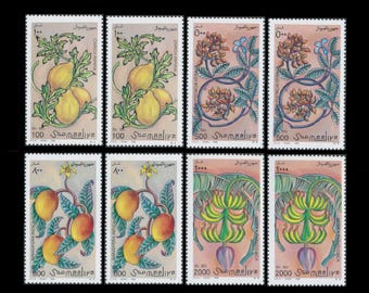 Ilustracje zabawnych owoców na somalijskich znaczkach pocztowych z 1996 r. / Papierowe pamiątki vintage, obraz papai, obraz mango, ilustracja banana, pistacja