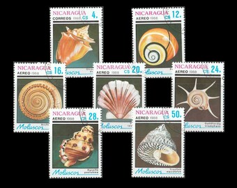 Shells of the World on 1988 Nicaragua Postage Stamps / Star Turban, Land Snail, Gaudy Frog, Fighting Conch, Giant Sundial / Collage Fodder