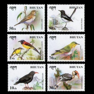 Belles images d'oiseaux sur des timbres-poste du Bhoutan de 1998 / calao, alouette, pie, souimanga, corbeau / parfait pour les cartes faites main, art du collage, ACEO