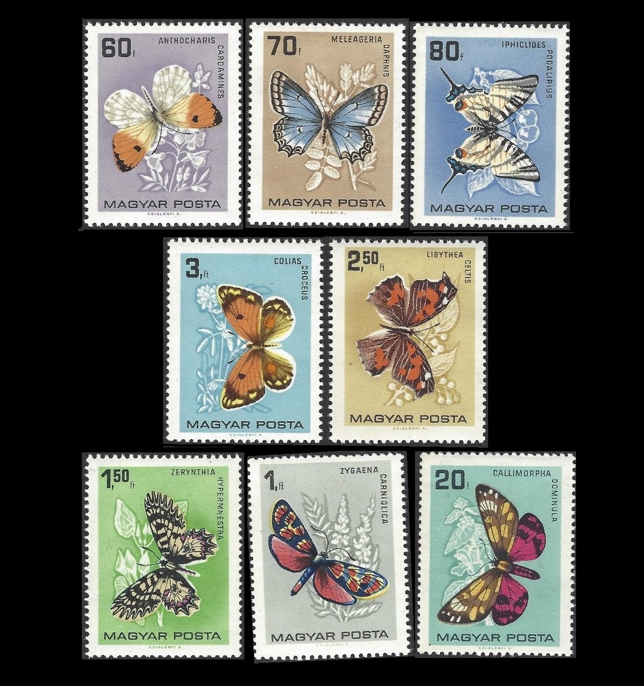 ヴィンテージの蝶の切手 / 1966年ハンガリー / 自然コラージュ、アート