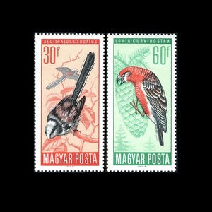 Piękne znaczki pocztowe z dużymi ptakami z 1966 r. / Gatunki chronione na Węgrzech / Dudek, dzięcioł, krzyżodziób, sikora długoogoniasta, jaskółka dymówka zdjęcie 4