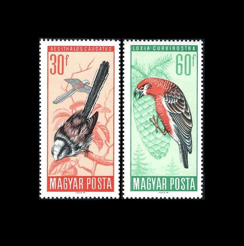 Piękne znaczki pocztowe z dużymi ptakami z 1966 r. / Gatunki chronione na Węgrzech / Dudek, dzięcioł, krzyżodziób, sikora długoogoniasta, jaskółka dymówka zdjęcie 4