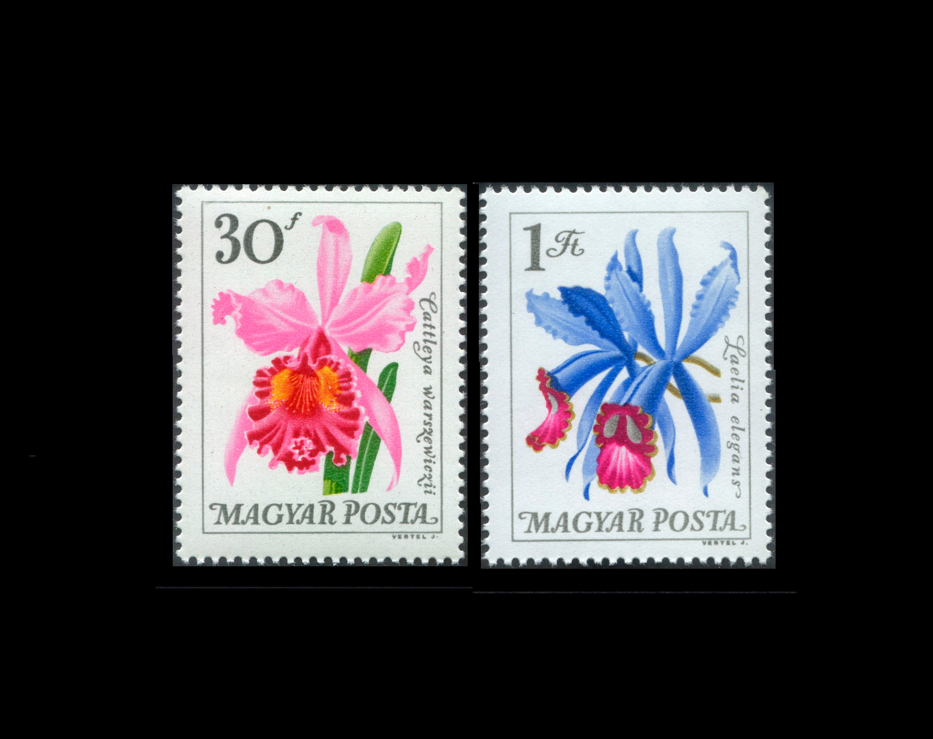 Exquisite 1965 Flower Postage Stamps From Hungary / Water Lily ...