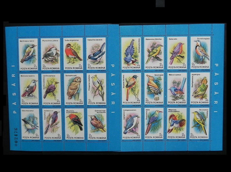 1991 Birds of the World Postage Stamp Sheets Woodpecker Robin Thrush Passerine Owl Magpie Flycatcher Blackbird Meadowlark Hoopoe