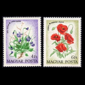 May include: Two vintage Hungarian postage stamps. One features purple violets with the text "k&eacute;k ibolya" and "viola cyanea". The other stamp shows red poppies with the text "pipacs" and "papaver rhoeas". Both stamps have "MAGYAR POSTA" printed on them.