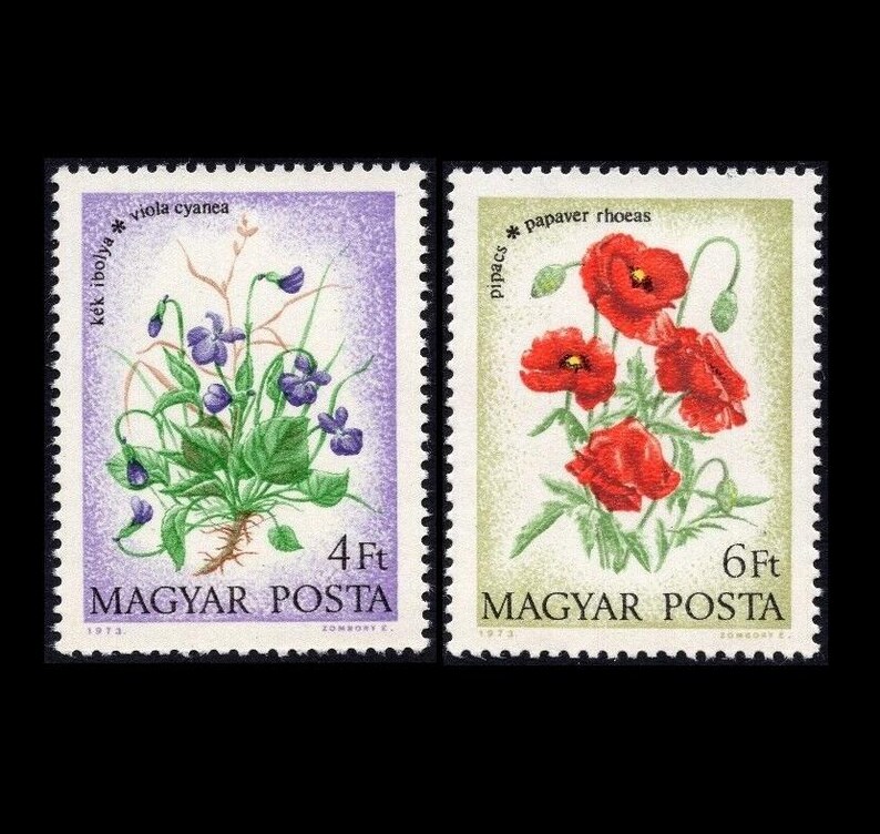 May include: Two vintage Hungarian postage stamps. One features purple violets with the text "k&eacute;k ibolya" and "viola cyanea". The other stamp shows red poppies with the text "pipacs" and "papaver rhoeas". Both stamps have "MAGYAR POSTA" printed on them.