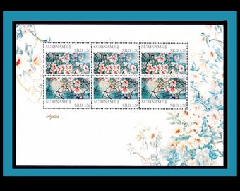 Exquisite Azalea Flower Stamp Sheet from Suriname / Gardener Gift, Collage Paper, Scrapbooking, Handmade Cards, Nature Junk Journals, MNH
