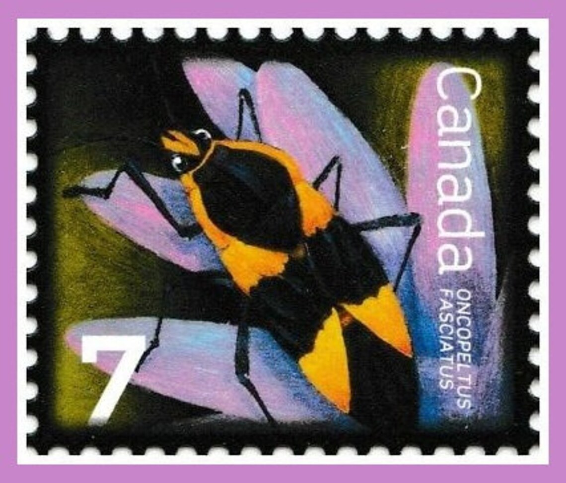 Beneficial Insects on Canada Postage Stamp Series / Paper Etsy