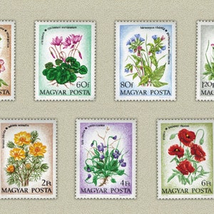 May include: A collection of seven vintage postage stamps featuring botanical illustrations of various flowers. Each stamp has a different floral design, including roses, cyclamen, and poppies, with the text "MAGYAR POSTA" and a denomination.