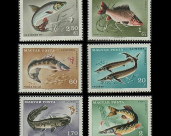 Ryby węgierskie na starych znaczkach pocztowych z 1967 r. / Woda słodka, karp, szczupak, jesiotr / Dziennik przyrodniczy, Zmieniona książka o życiu morskim, Dekupaż