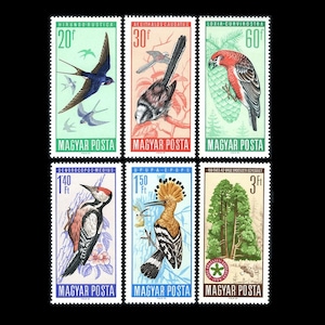 Piękne znaczki pocztowe z dużymi ptakami z 1966 r. / Gatunki chronione na Węgrzech / Dudek, dzięcioł, krzyżodziób, sikora długoogoniasta, jaskółka dymówka zdjęcie 1