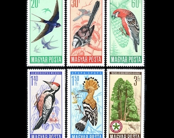 Beautiful 1966 Large Bird Postage Stamps / Hungarian Protected Species / Hoopoe, Woodpecker, Crossbill Finch, Long-Tailed Tit, Barn Swallow