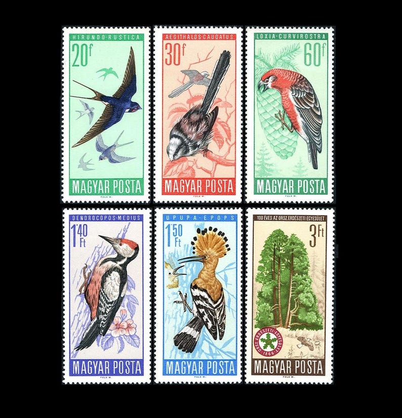 Piękne znaczki pocztowe z dużymi ptakami z 1966 r. / Gatunki chronione na Węgrzech / Dudek, dzięcioł, krzyżodziób, sikora długoogoniasta, jaskółka dymówka zdjęcie 1