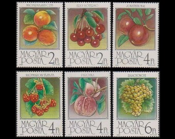 Lovely 1986 Fruit Stamps / Postage Collection, Collage Art Material,  Craft Projects, Frame for Home Decor, Scrapbooking Embellishment