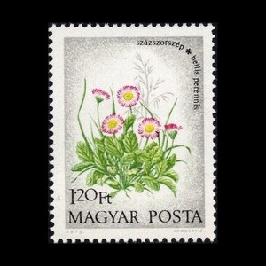 Vintage Wildflower Postage Stamps Hungary 1973 / Violet, Poppy, Daisy, Lungwort, Cyclamen, French Rose / Altered Art, Gardening Journal image 3