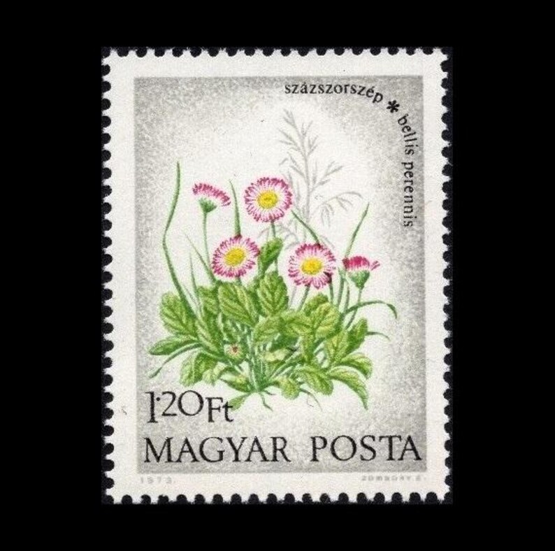 Vintage Wildflower Postage Stamps Hungary 1973 / Violet, Poppy, Daisy, Lungwort, Cyclamen, French Rose / Altered Art, Gardening Journal image 3