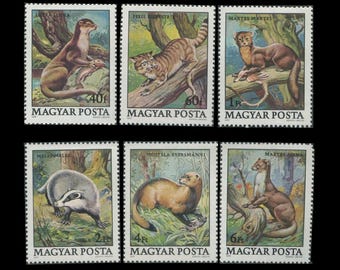 Zwierzęta chronione na węgierskich znaczkach pocztowych z 1979 r. / Wydra, borsuk, kuna leśna, żbik europejski, tchórz / czasopismo przyrodnicze, zmodyfikowana sztuka książkowa