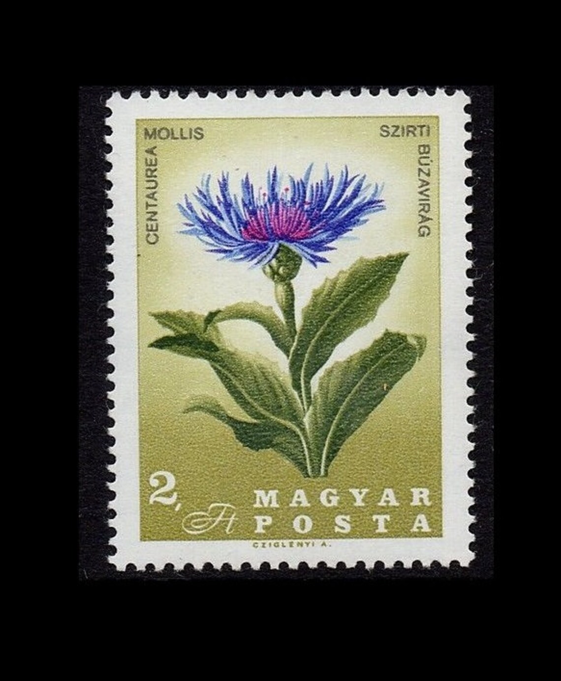 1967 Rare Flowers of Hungary Postage Stamps Flower Images Etsy 日本